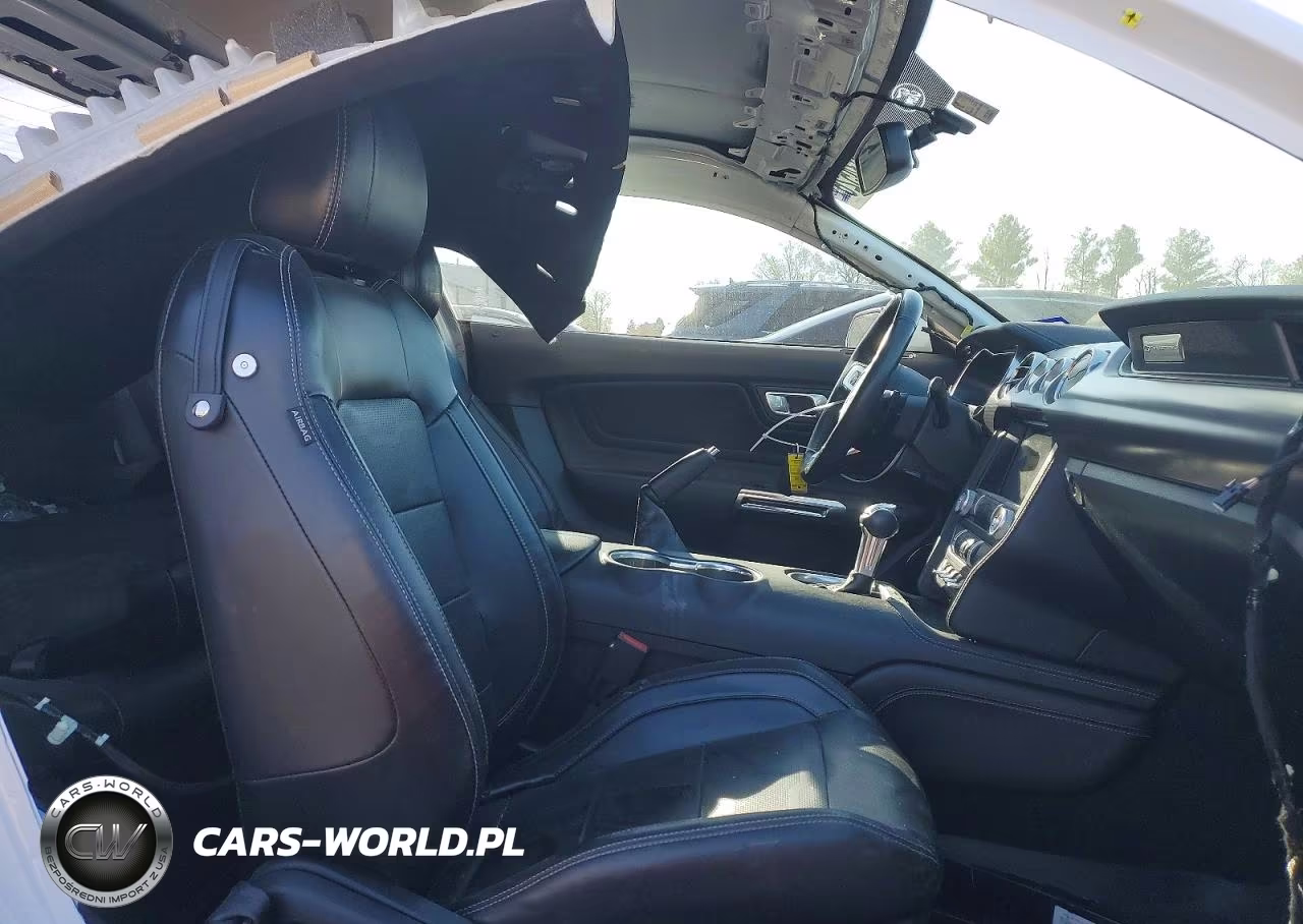 2019 Ford Mustang Gt VIN:1FA6P8CF2K5201785 - 10