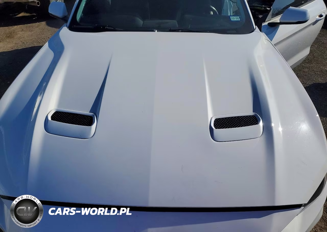2019 Ford Mustang Gt VIN:1FA6P8CF2K5201785 - 11