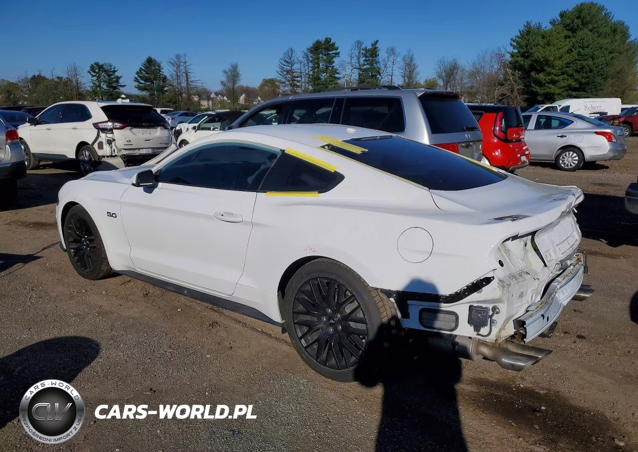 2019 Ford Mustang Gt VIN:1FA6P8CF2K5201785 - 2