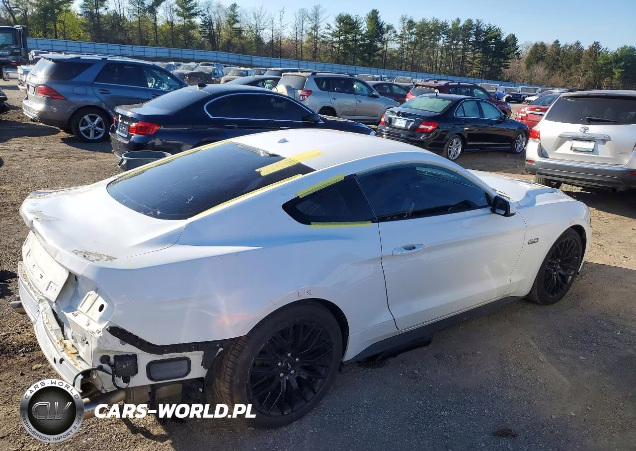2019 Ford Mustang Gt VIN:1FA6P8CF2K5201785 - 3