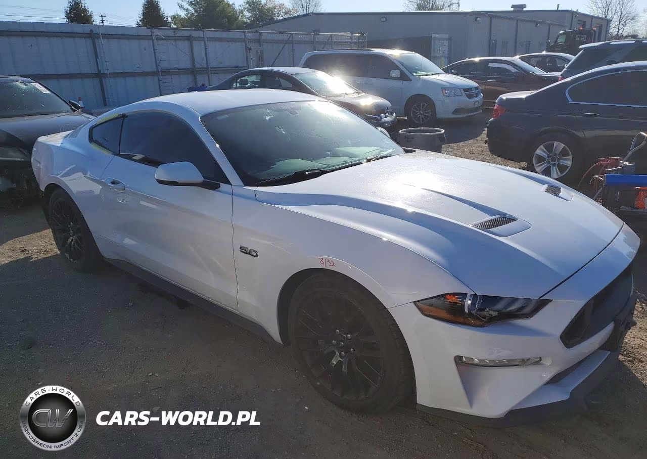2019 Ford Mustang Gt VIN:1FA6P8CF2K5201785 - 4