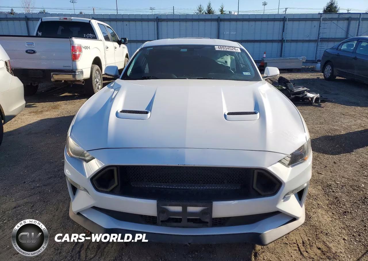 2019 Ford Mustang Gt VIN:1FA6P8CF2K5201785 - 5