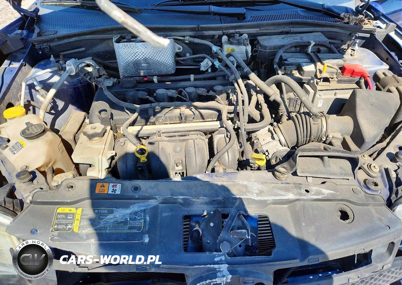 2009 Ford Focus Ses VIN:1FAHP36N49W157856 - 11