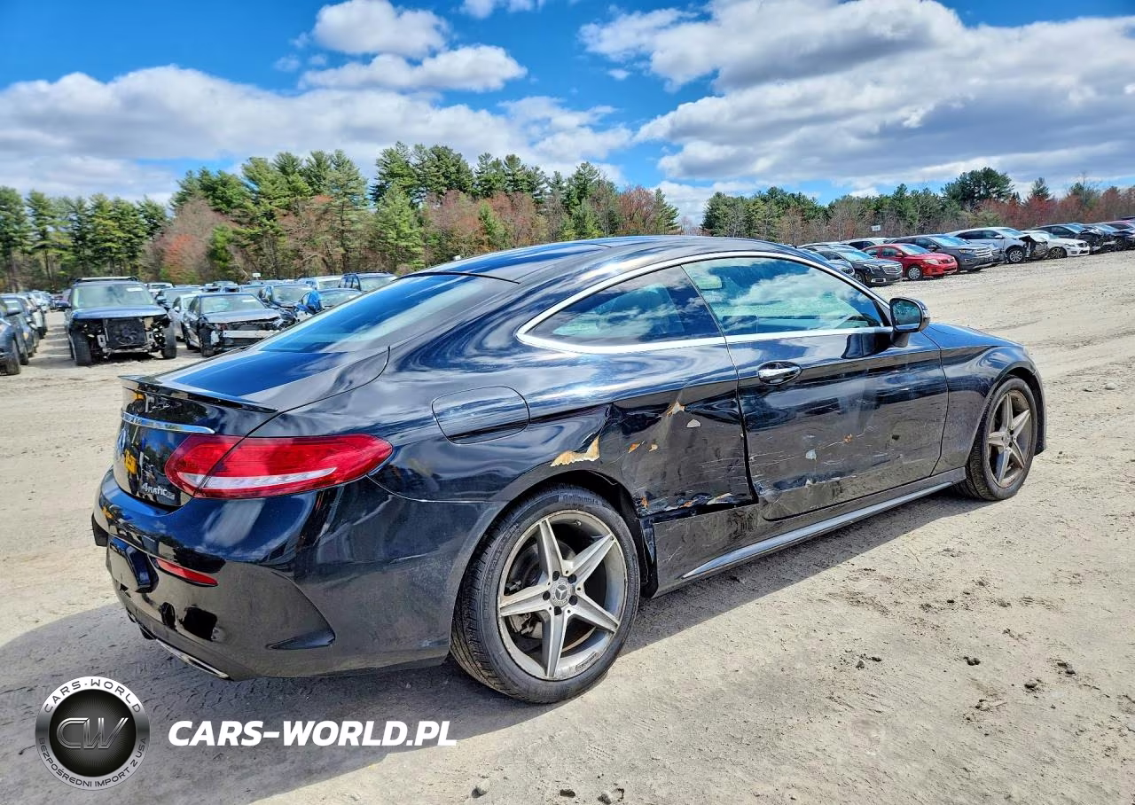 2018 Mercedes-Benz C 300 4Matic VIN:WDDWJ4KB7JF738377 - 3