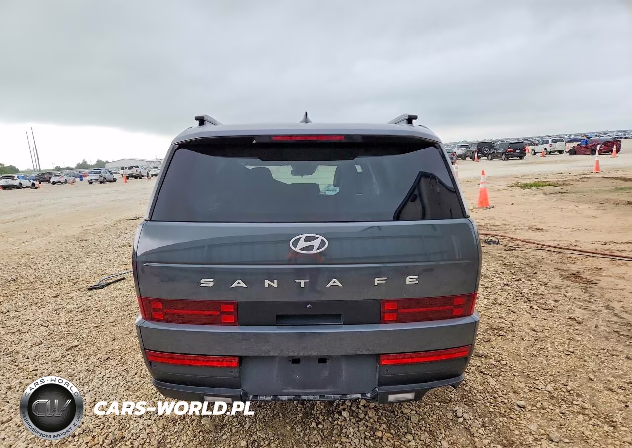 2025 Hyundai Santa Fe Sel VIN:5NMP24GL9SH123542 - 6
