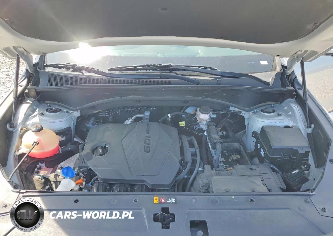 2023 Hyundai Santa Fe Sel VIN:5NMS34AJ4PH529332 - 12