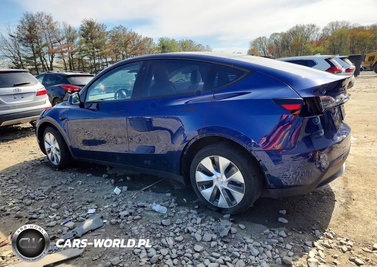 2023 Tesla Model Y VIN:7SAYGDEE5PA106305 - 2