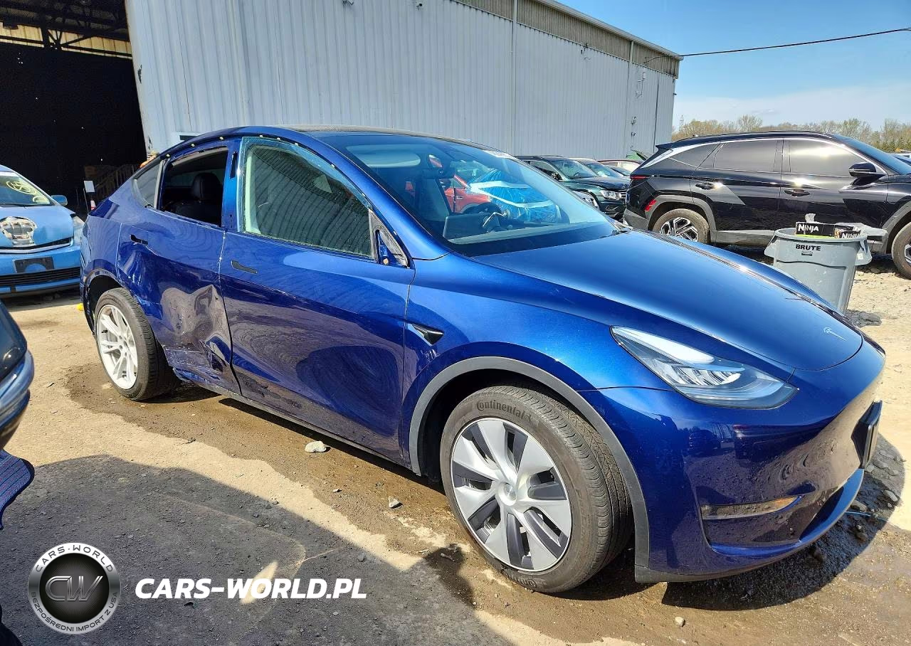 2023 Tesla Model Y VIN:7SAYGDEE5PA106305 - 4