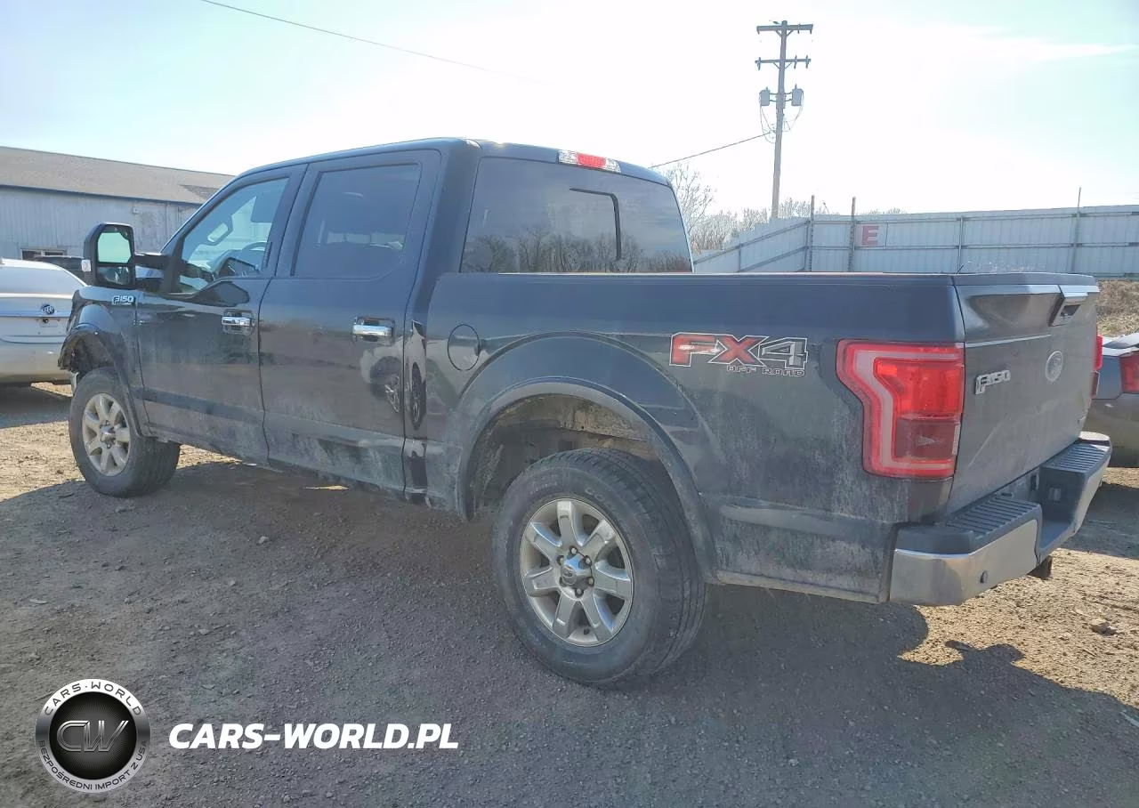 2016 Ford F-150 VIN:1FTEW1EF5GFA29492 - 2