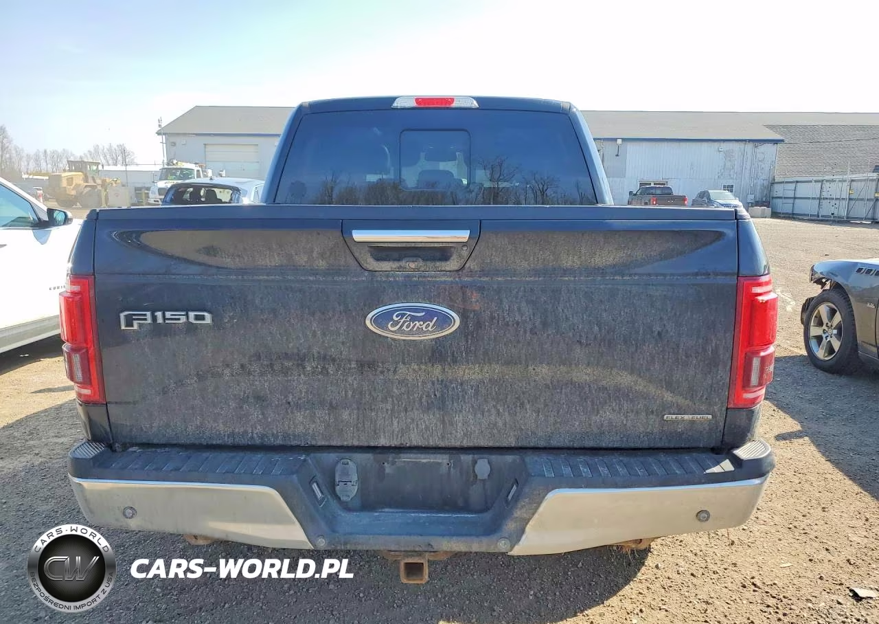 2016 Ford F-150 VIN:1FTEW1EF5GFA29492 - 6