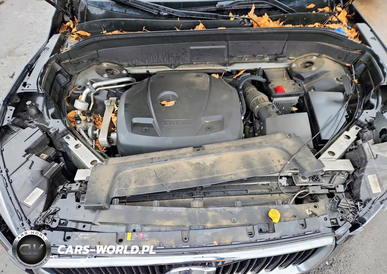 2019 Volvo Xc90 T6 Momentum VIN:YV4A22PK7K1489833 - 12