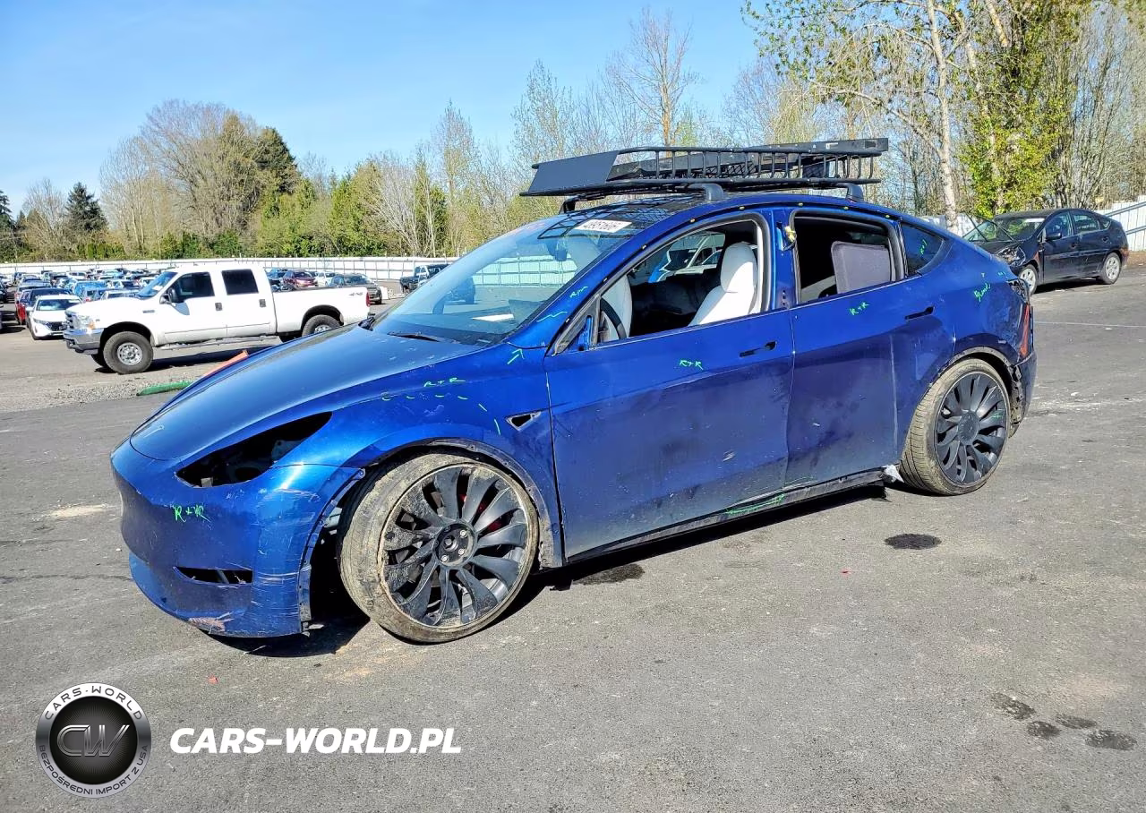 2023 Tesla Model Y
