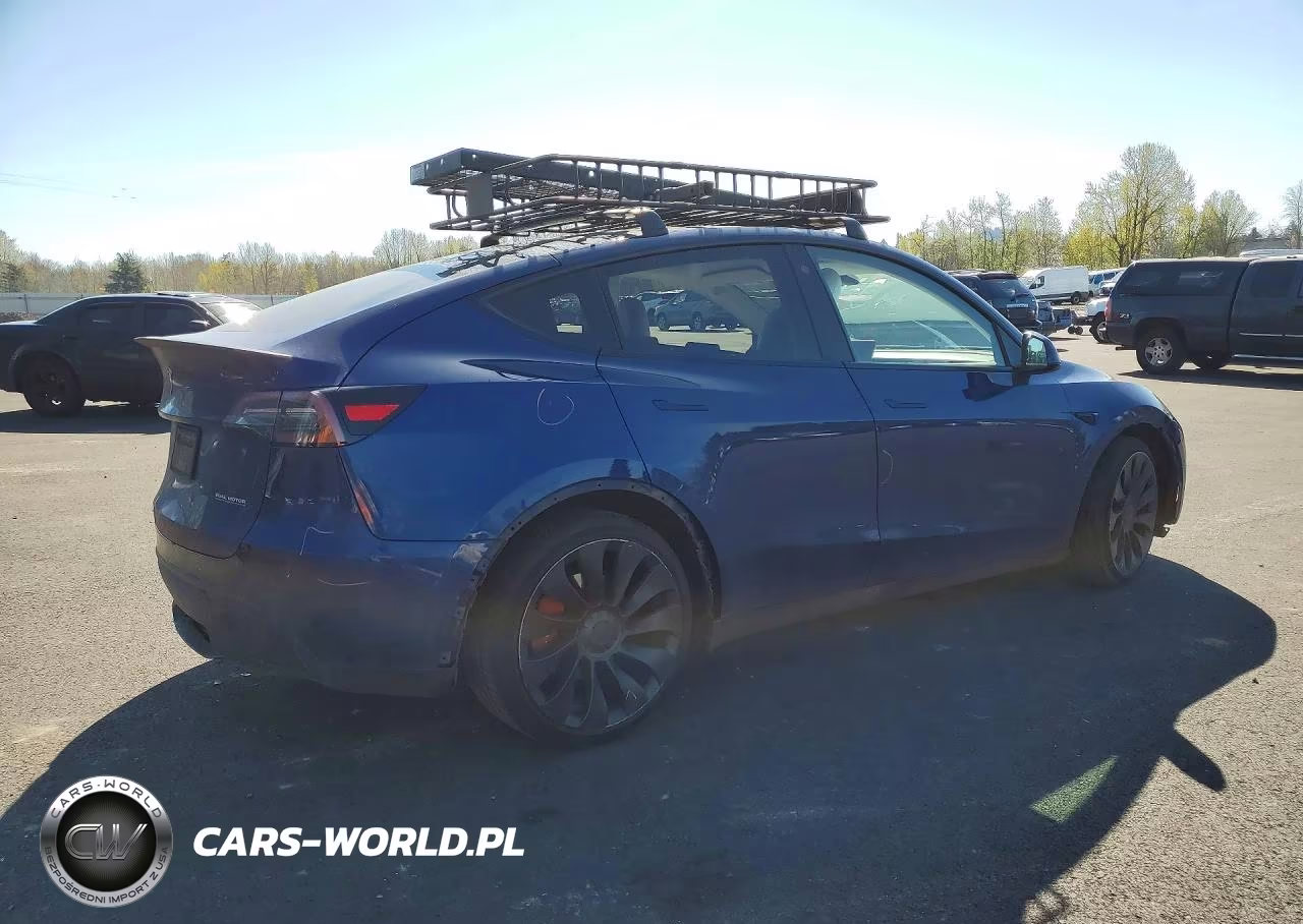 2023 Tesla Model Y VIN:7SAYGDEF0PF705639 - 3
