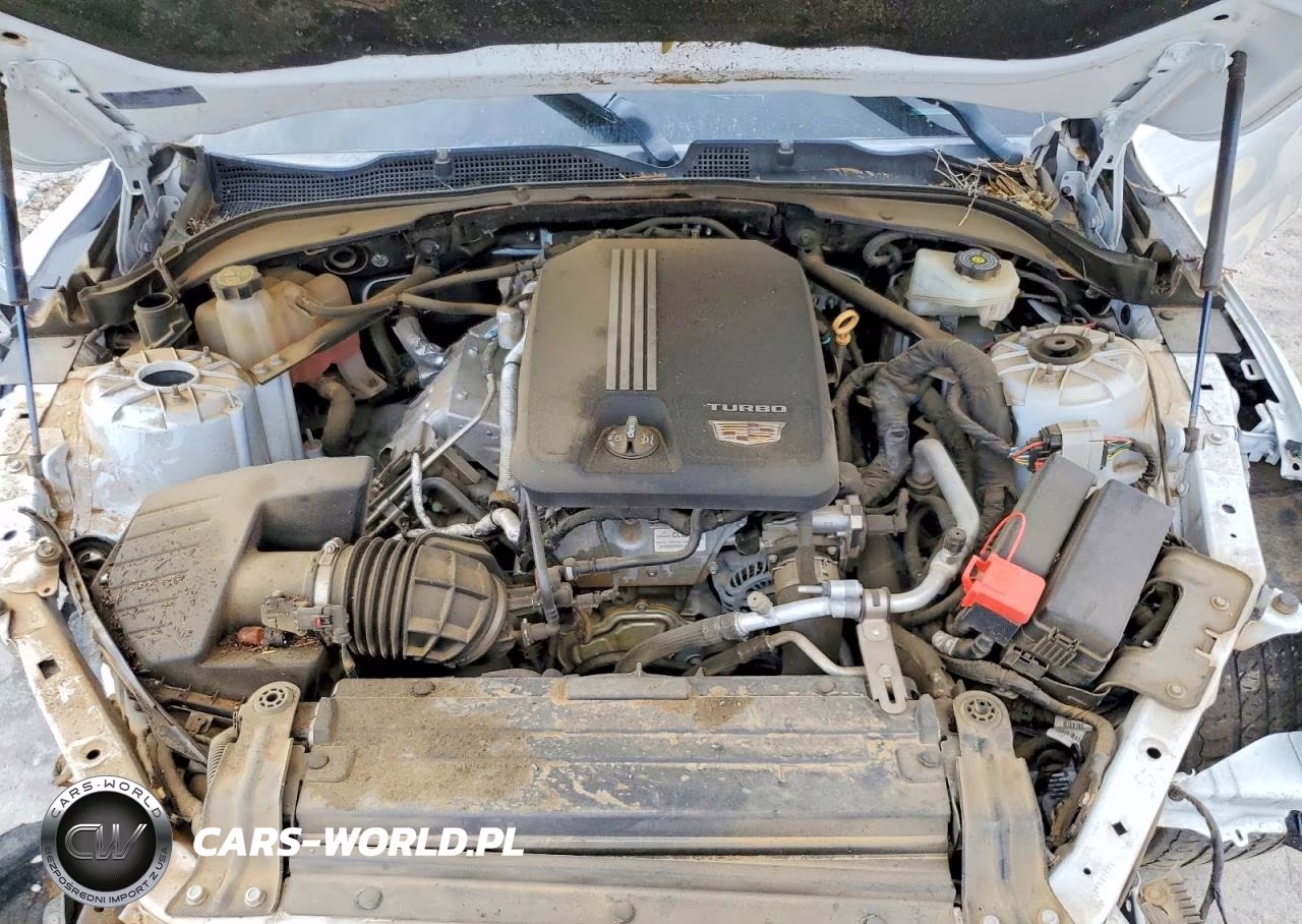 2020 Cadillac Ct4 Luxury VIN:1G6DA5RK2L0133785 - 11