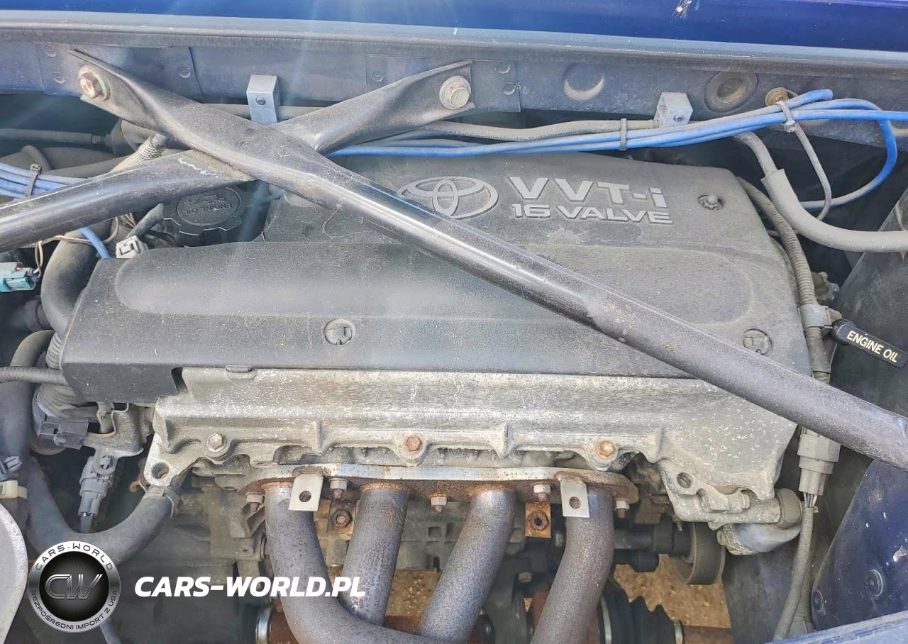 2000 Toyota Mr-S VIN:ZZW300006665 - 11
