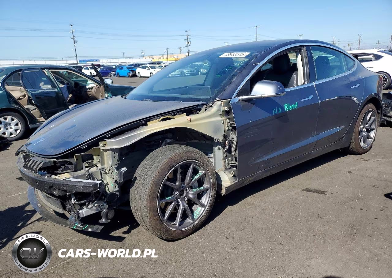2019 Tesla Model 3