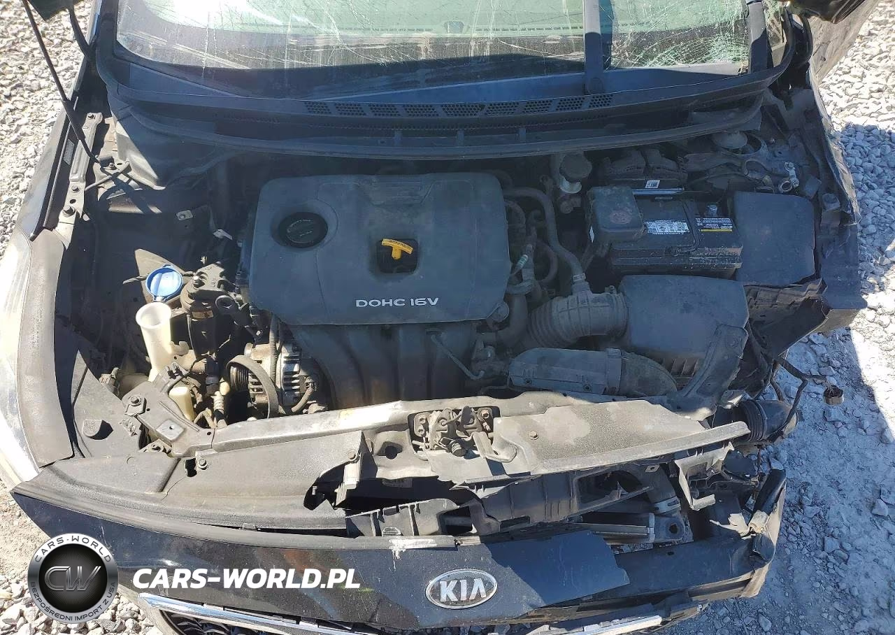 2017 Kia Forte Lx VIN:3KPFK4A7XHE073791 - 11