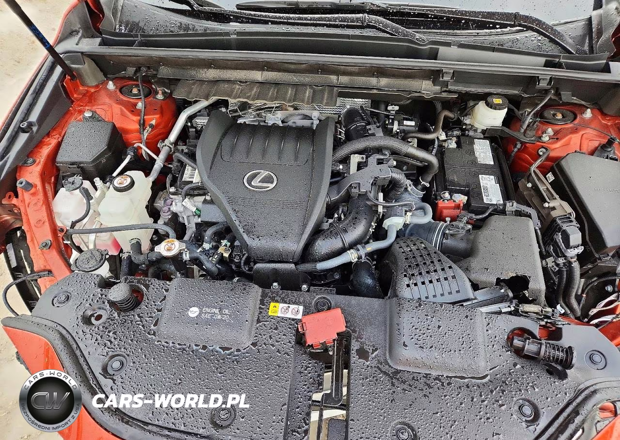2023 Lexus Nx 350 Premium VIN:2T2GGCEZ8PC021712 - 11