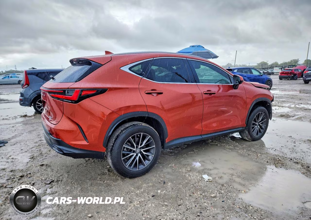2023 Lexus Nx 350 Premium VIN:2T2GGCEZ8PC021712 - 3