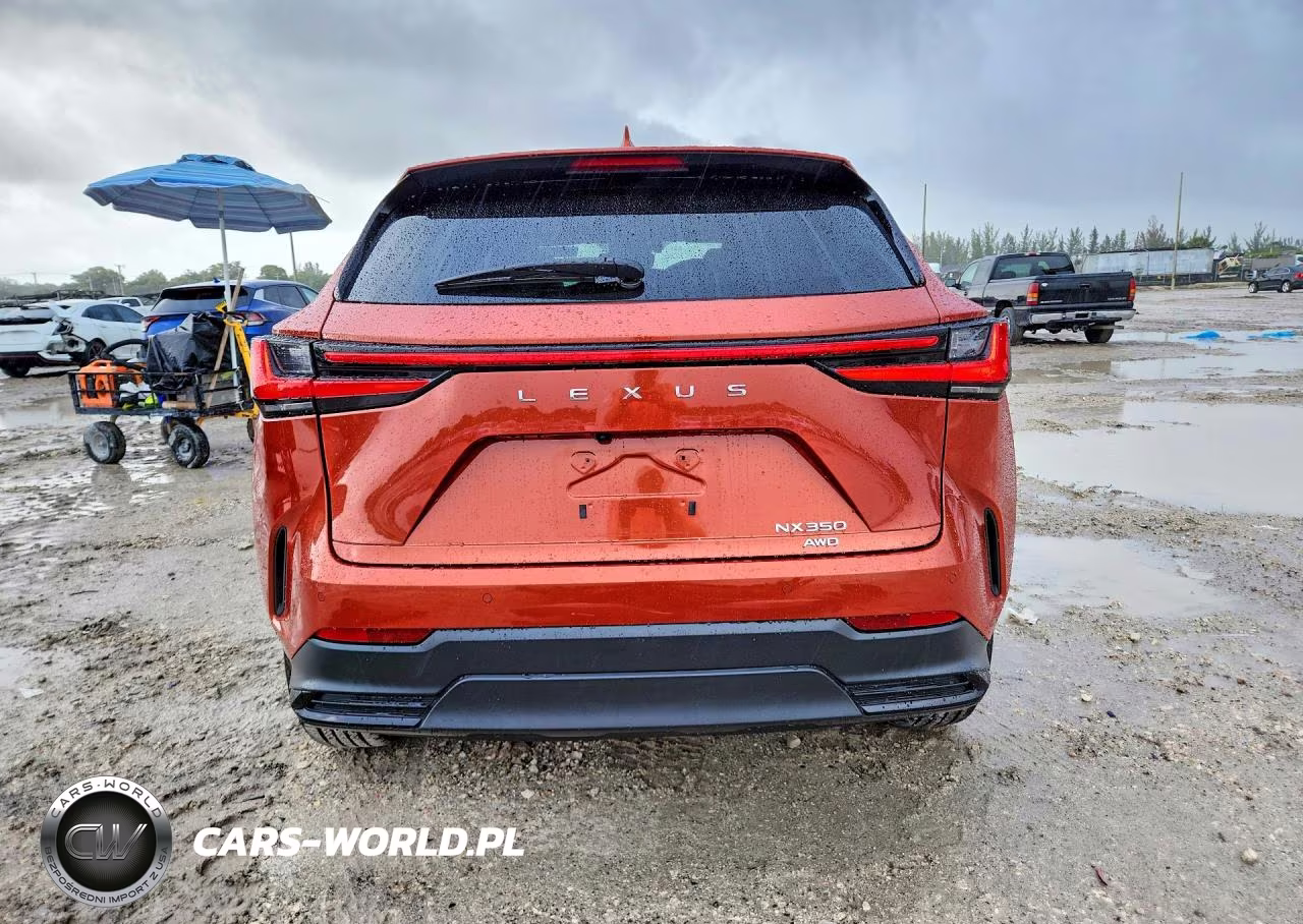 2023 Lexus Nx 350 Premium VIN:2T2GGCEZ8PC021712 - 6