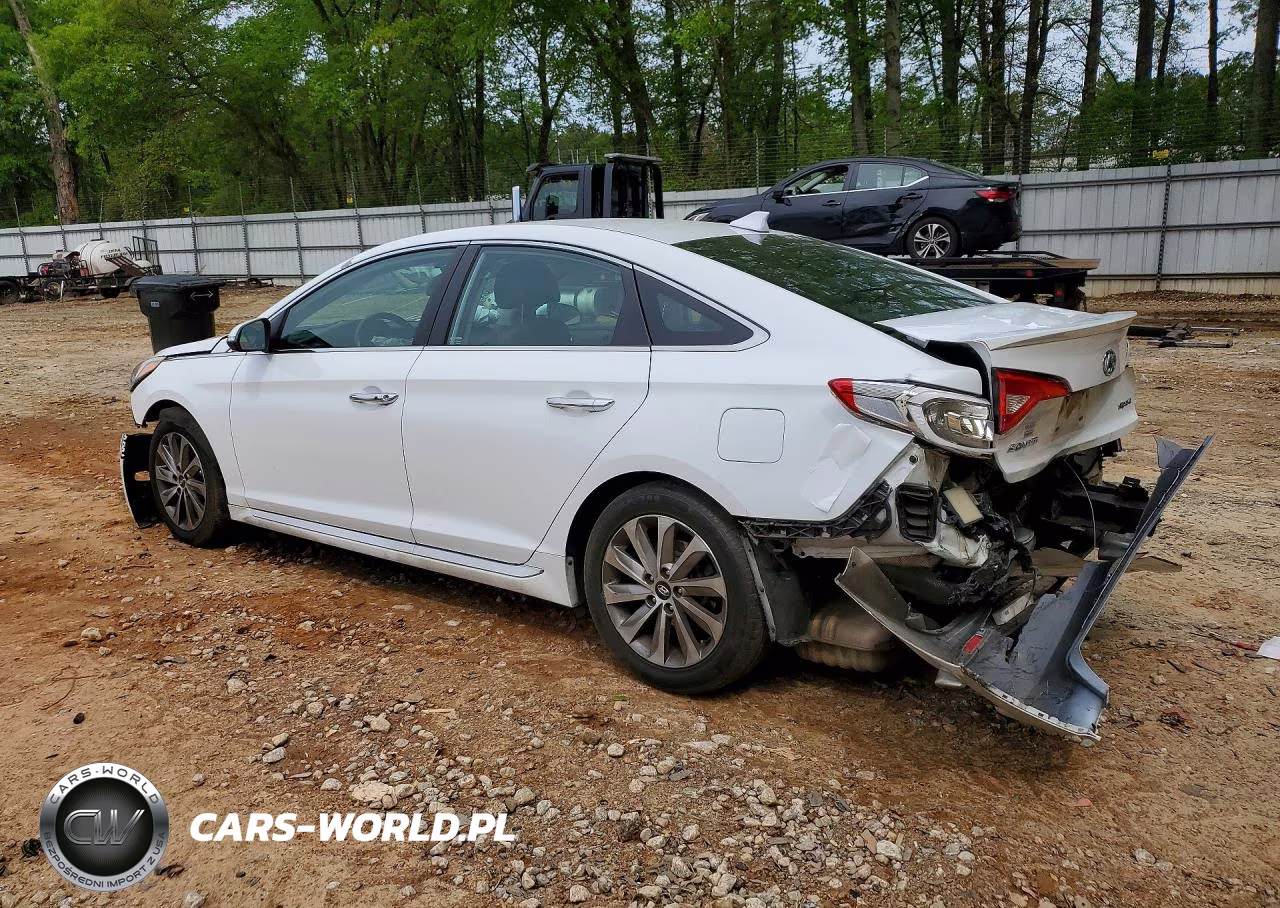 2016 Hyundai Sonata Sport VIN:5NPE34AF2GH269086 - 2