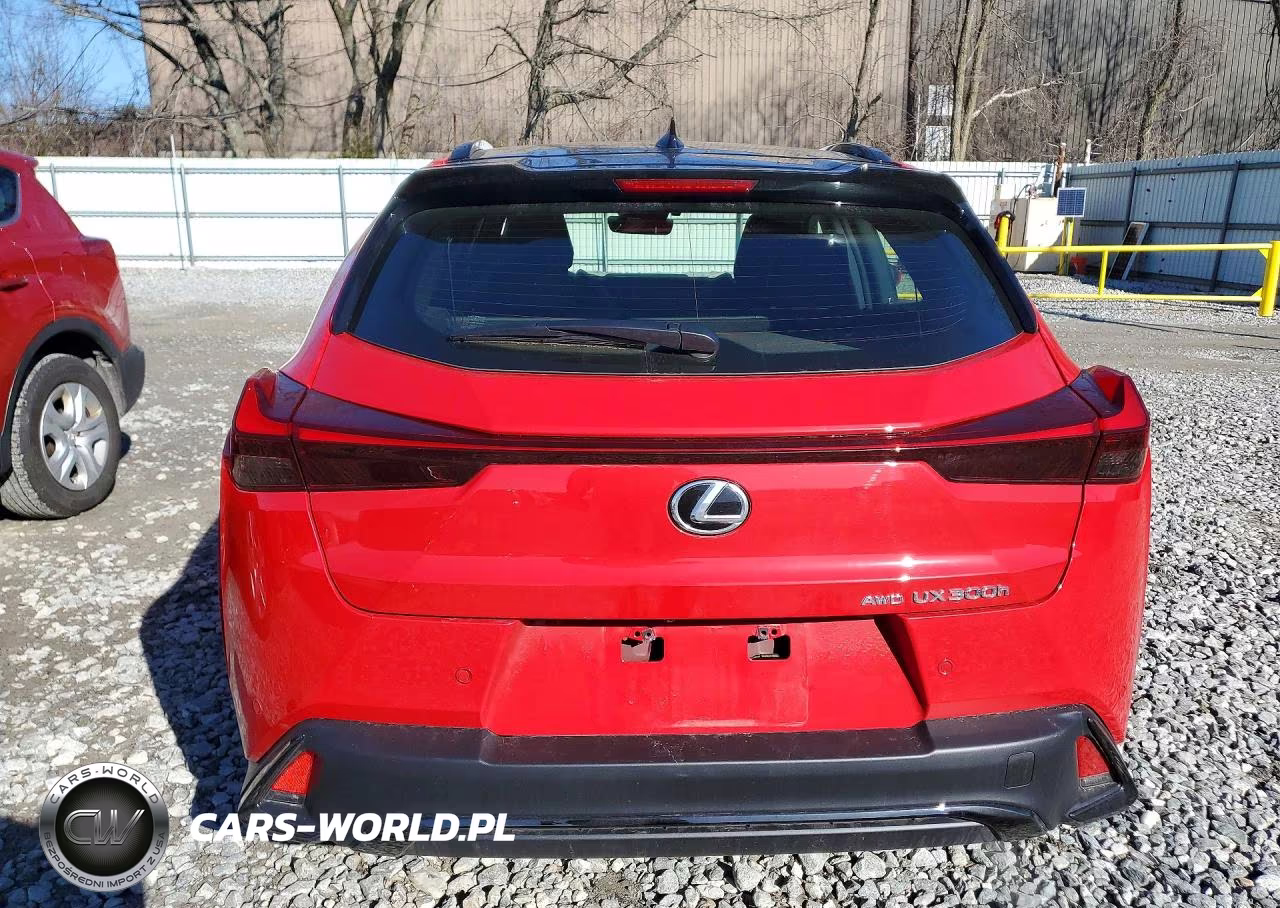 2025 Lexus Ux 300H F Sport Handling VIN:JTHUCJDH5S2012164 - 6