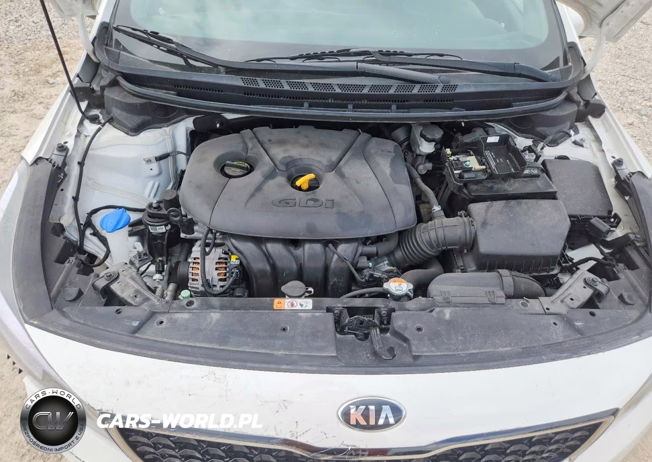 2017 Kia Forte VIN:KNAFK5A80H5698790 - 11