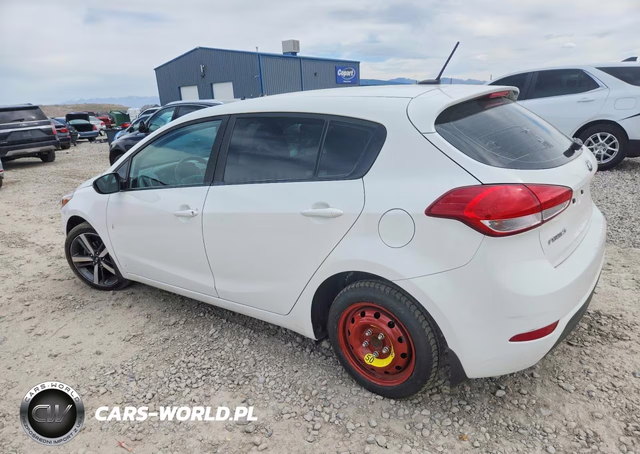 2017 Kia Forte VIN:KNAFK5A80H5698790 - 2