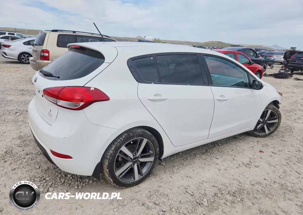 2017 Kia Forte VIN:KNAFK5A80H5698790 - 3