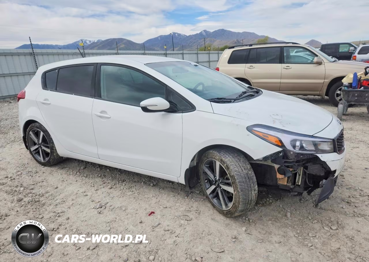 2017 Kia Forte VIN:KNAFK5A80H5698790 - 4