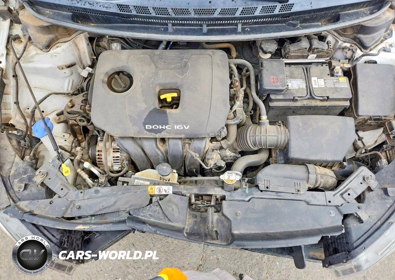 2017 Kia Forte Lx VIN:3KPFK4A71HE084999 - 11