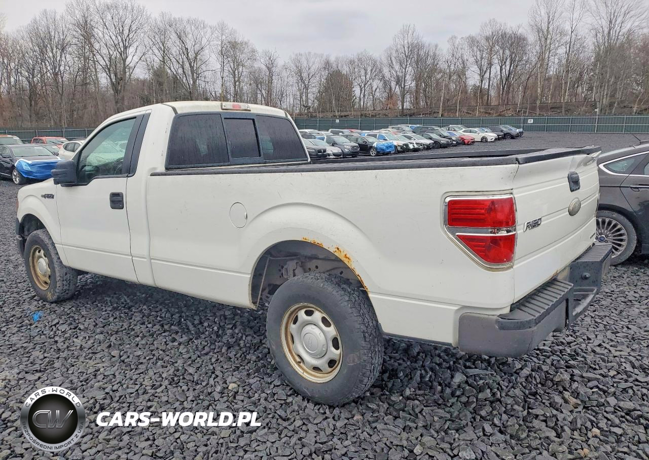 2011 Ford F150 VIN:1FTMF1CM0BKE10261 - 2