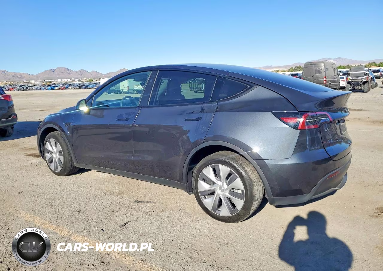 2024 Tesla Model Y VIN:7SAYGDEE1RF994685 - 2