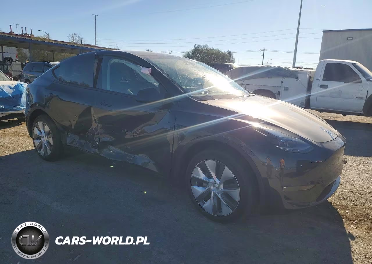 2024 Tesla Model Y VIN:7SAYGDEE1RF994685 - 4