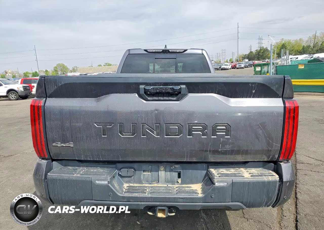 2023 Toyota Tundra Sr5 VIN:5TFLA5GD8PX002337 - 6