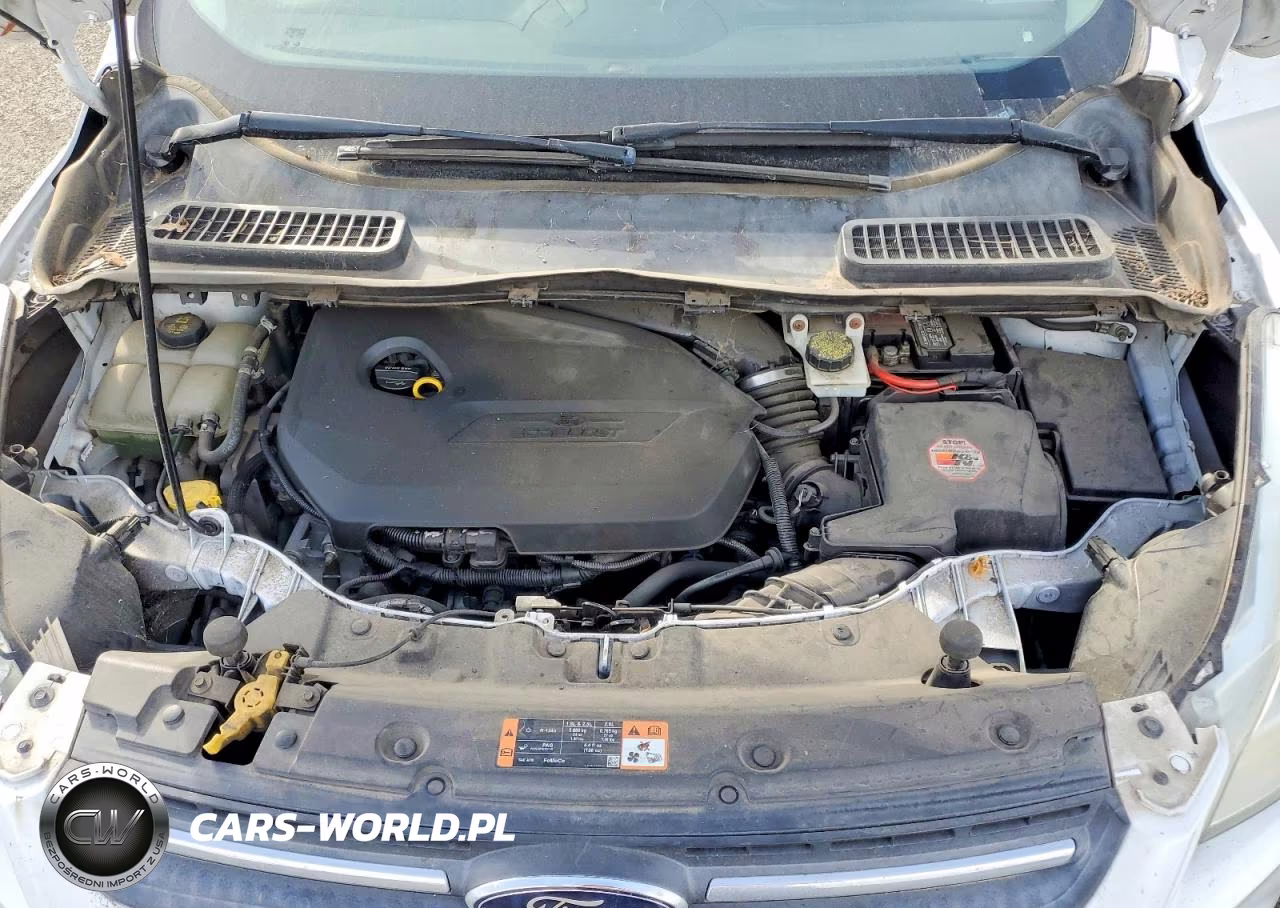 2014 Ford Escape Se VIN:1FMCU0GX8EUC69914 - 12