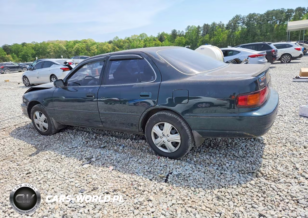 1994 Toyota Camry Xle V6 VIN:4T1GK13EXRU854176 - 2