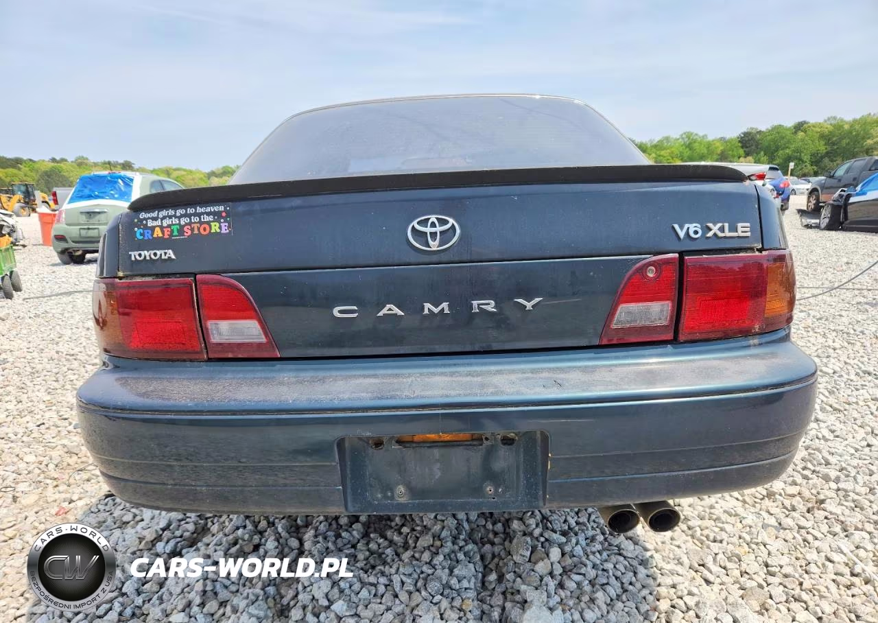 1994 Toyota Camry Xle V6 VIN:4T1GK13EXRU854176 - 6