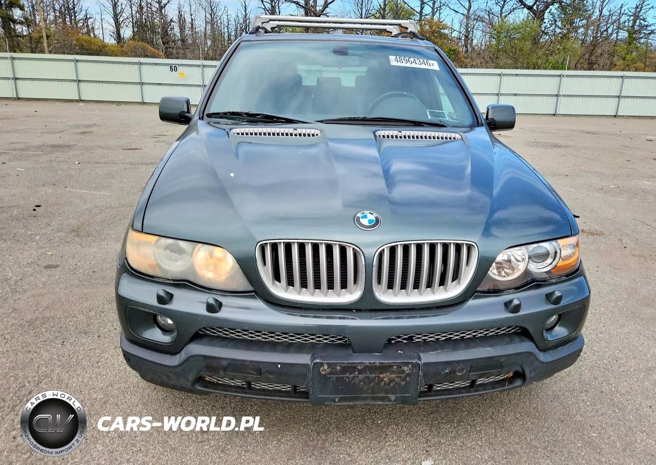 2006 BMW X5 4.4I VIN:5UXFB53526LV24393 - 5