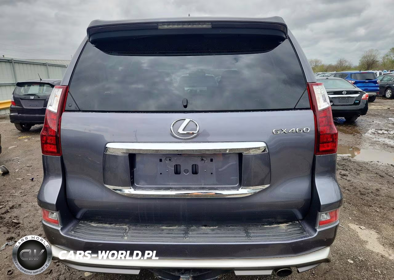2019 Lexus Gx 460 Base VIN:JTJBM7FX7K5211645 - 6