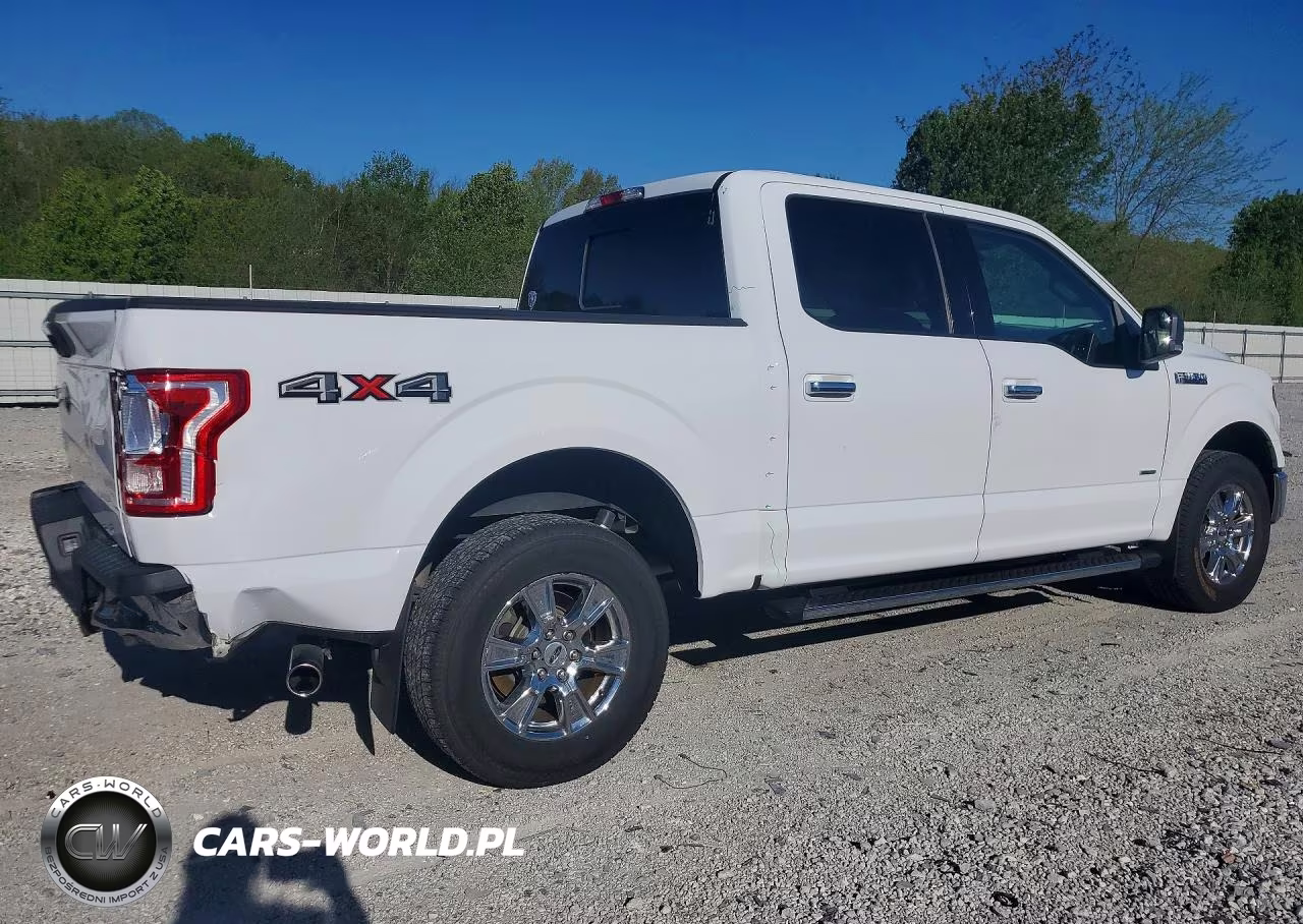 2017 Ford F150 Supercrew VIN:1FTEW1EG7HKC48777 - 3