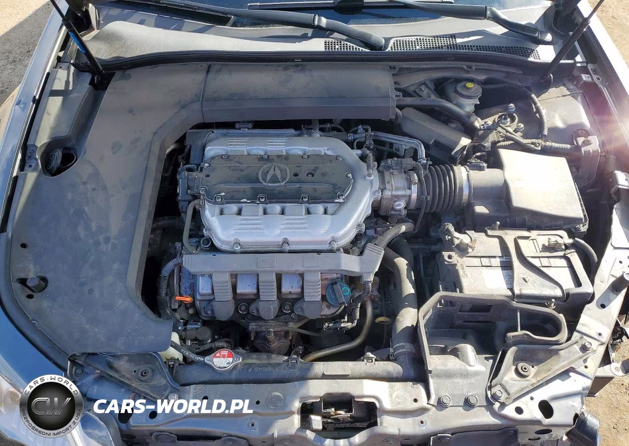 2010 Acura Tl VIN:19UUA9F22AA001689 - 11