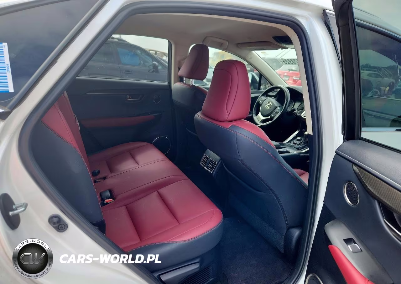 2020 Lexus Nx 300 Base VIN:JTJAARBZ3L2174832 - 10
