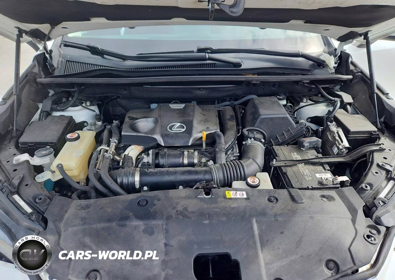 2020 Lexus Nx 300 Base VIN:JTJAARBZ3L2174832 - 11