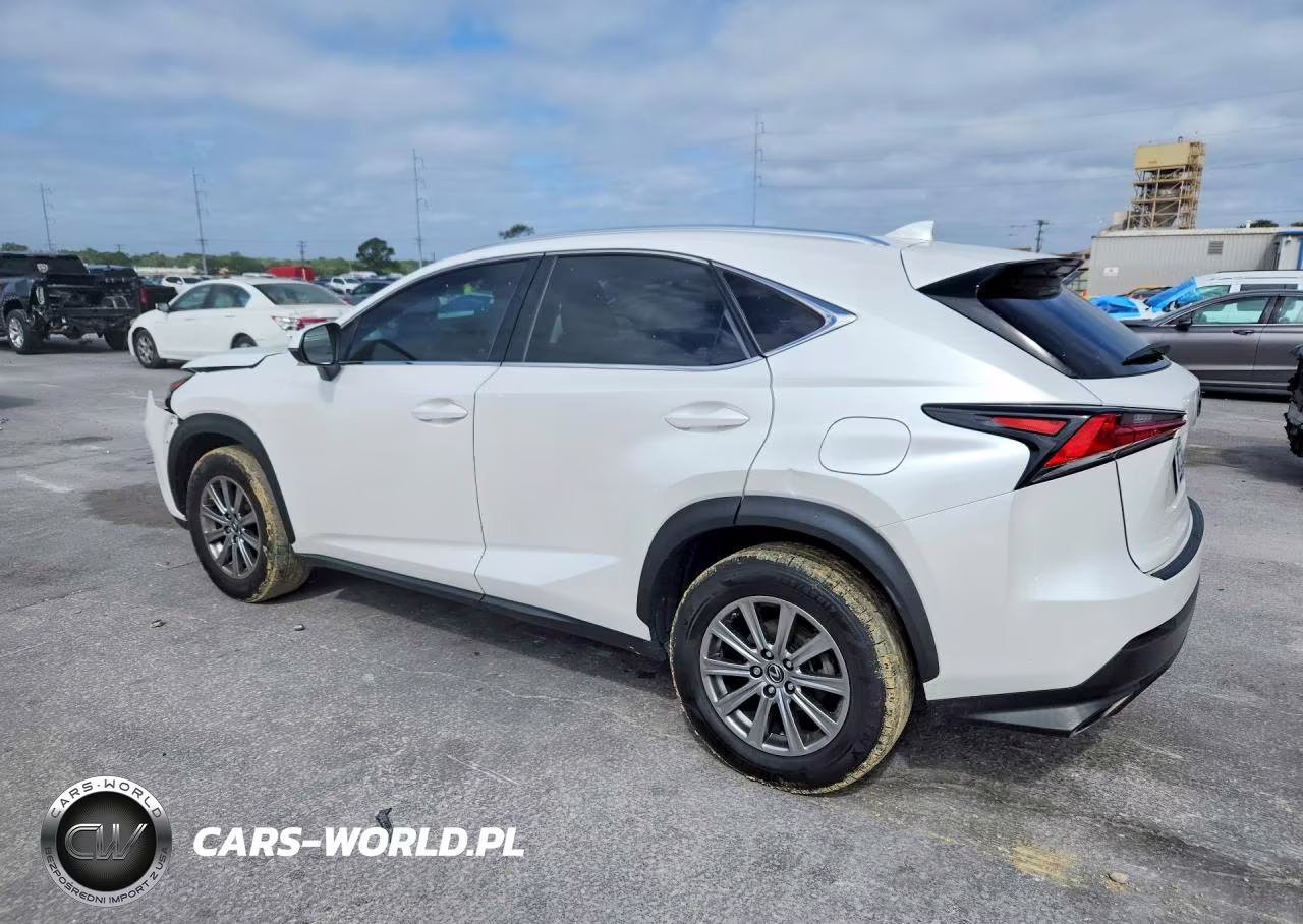 2020 Lexus Nx 300 Base VIN:JTJAARBZ3L2174832 - 2