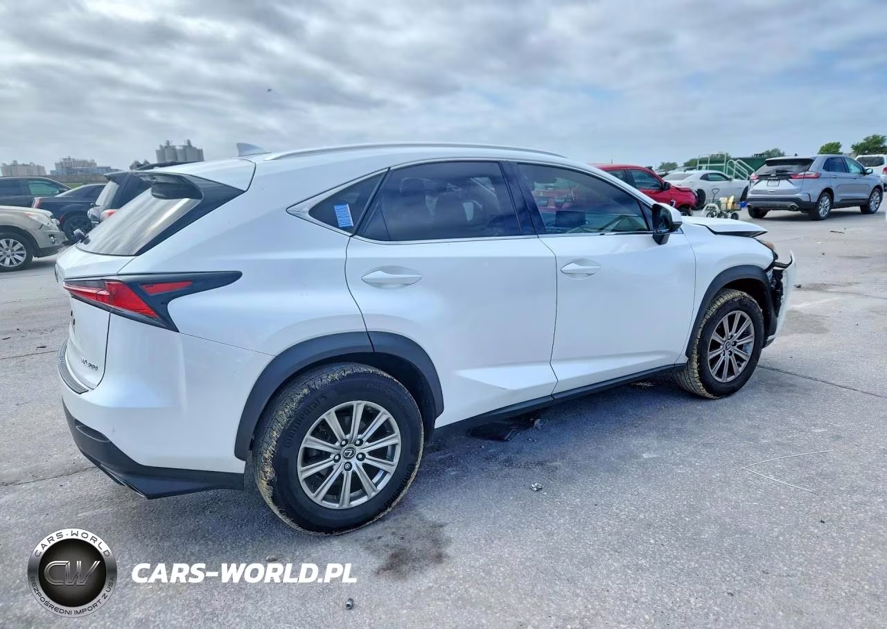 2020 Lexus Nx 300 Base VIN:JTJAARBZ3L2174832 - 3
