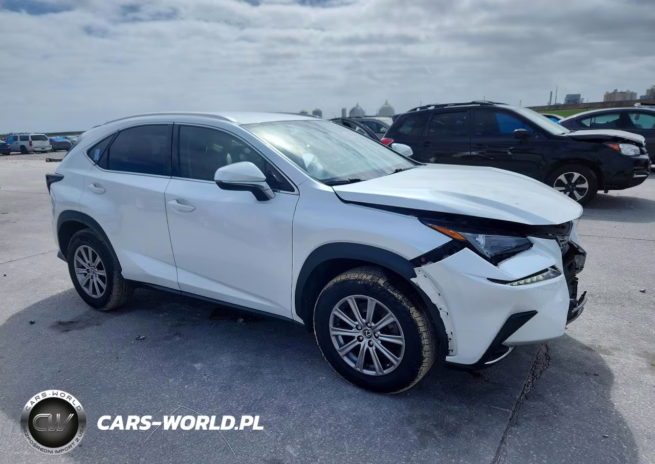 2020 Lexus Nx 300 Base VIN:JTJAARBZ3L2174832 - 4