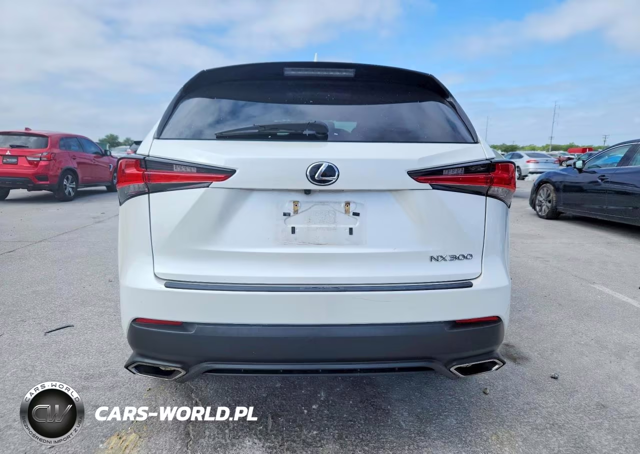 2020 Lexus Nx 300 Base VIN:JTJAARBZ3L2174832 - 6