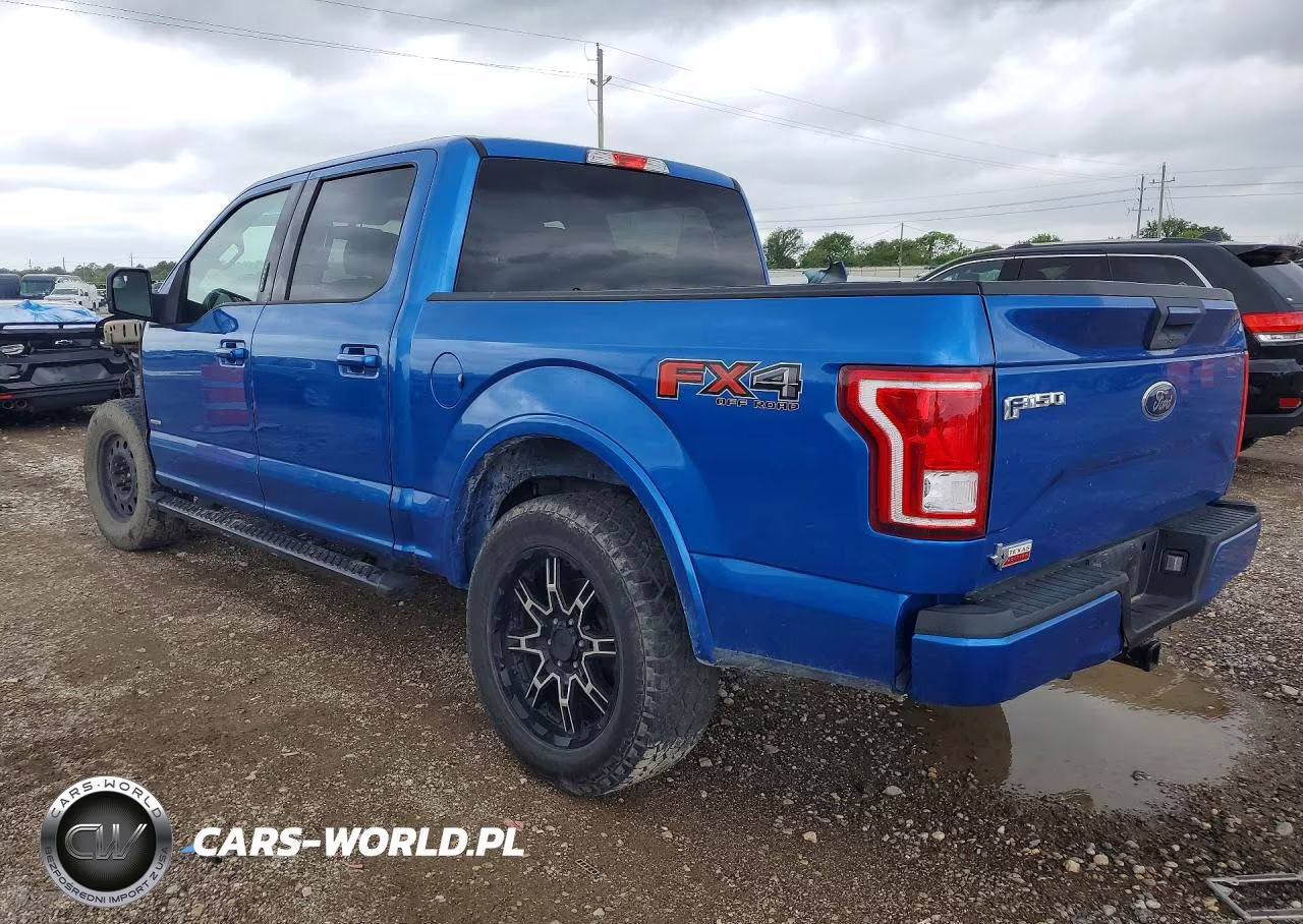 2016 Ford F150 Supercrew VIN:1FTEW1EP8GKE93067 - 2
