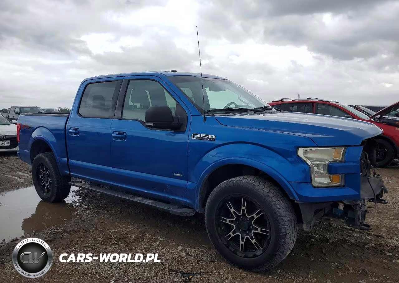 2016 Ford F150 Supercrew VIN:1FTEW1EP8GKE93067 - 4